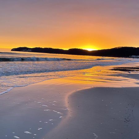 Strandvilla Seeadler Hinter Duene Und Meer Binz Dış mekan fotoğraf